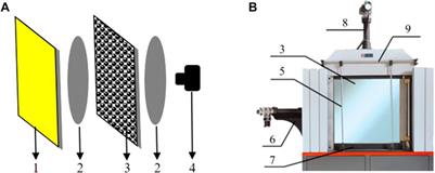 Arching of force chains in excavated granular material